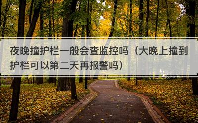 夜晚撞护栏一般会查监控吗（大晚上撞到护栏可以第二天再报警吗）