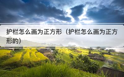 护栏怎么画为正方形（护栏怎么画为正方形的）